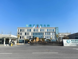 Shandong Saikesaisi Hydrogen Energy Co., Ltd 製造者の生産ライン