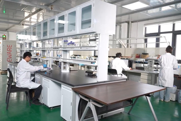 Shandong Saikesaisi Hydrogen Energy Co., Ltd 製造者の生産ライン